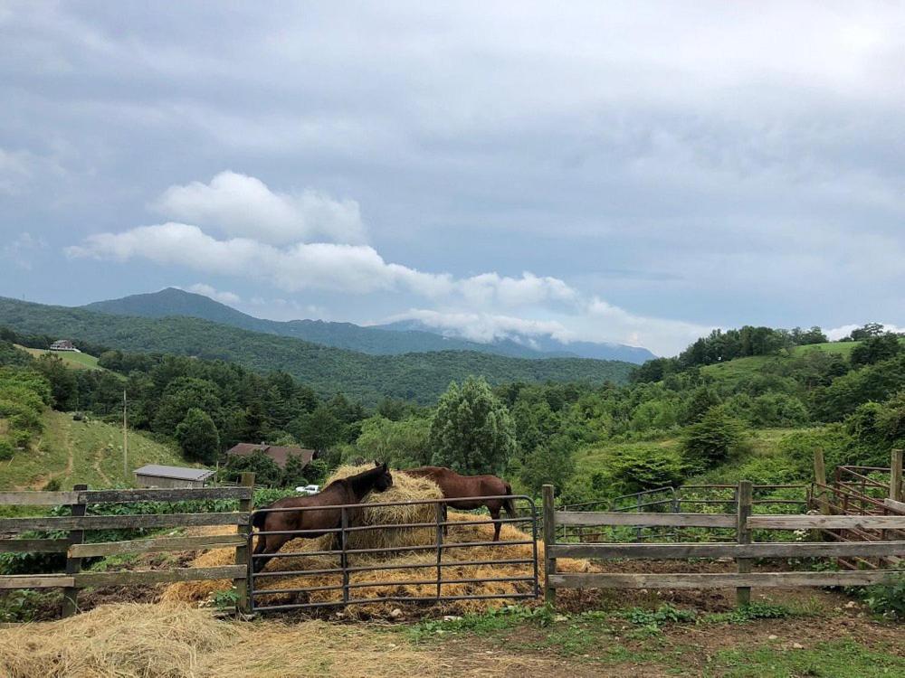 On Top Of The World At Sugar Top Resort Sugar Mountain Exterior photo